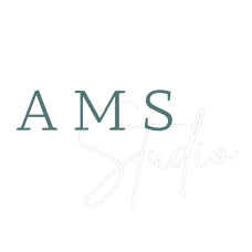 AMS Studio Spieleentwicklung